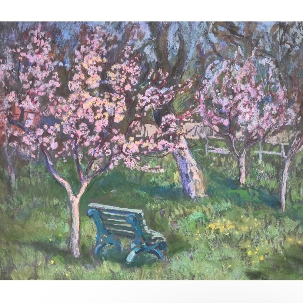 Cherry Blossom Park Painting